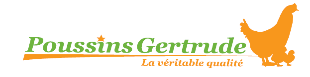Poussins Gertrude Congo